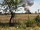 No let-up in farm fires as admn fails to keep vigil