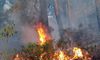 Fire engulfs forest area in Jammu and Kashmir’s Udhampur district