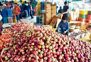 Congress takes lead in reaching out to apple growers in HP