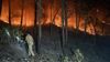 Forest fire breaks out in Udhampur