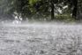Heavy rain prompts warnings, travel bans in many Kerala districts