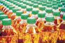 Sunflower oil consumption expected to fall by 4L tonne