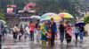 Rain to continue till tomorrow, yellow alert issued