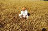 Amritsar: Wheat stocked in grain markets soaked in rain