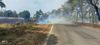 Smoke from burning wheat stubble troubles commuters