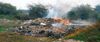 Air ‘poor’, yet garbage continues to be burnt in Faridabad