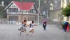 Widespread rain accompanied by thunderstorm and hailstorm lashes several parts of Himachal Pradesh
