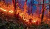 Preventive measures a must to curb scourge of forest fires