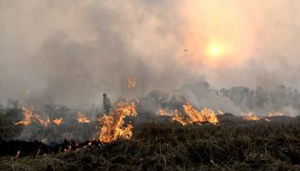 Farm fires triggering respiratory issues among children, elderly in rural areas