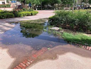 With sewer overflowing, it’s neither Amrit nor Anand at Ranjit Avenue park