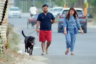 Pet registration programme goes astray in city