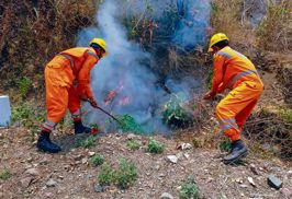 Proactive response can keep forest fires under control