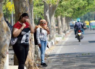 Chandigarh sees hottest May day
