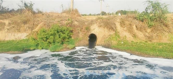 Sonepat: NGT forms panel to check discharge of effluents by industries into drain