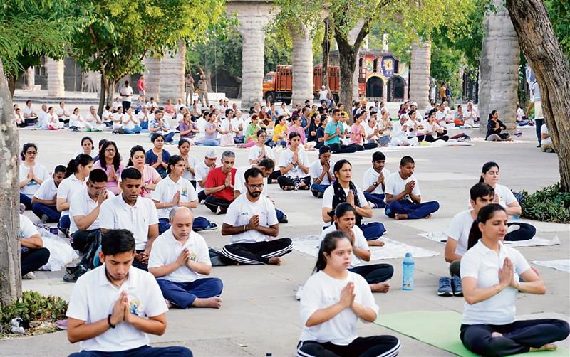 International Day of Yoga: Over 2K attend rehearsal at Rock Garden in Chandigarh