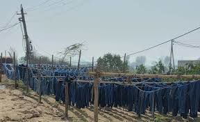 Notices to 14 illegal dyeing, washing units at Kundli