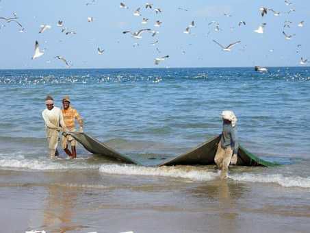 Ban on fishing for two months in Una water bodies