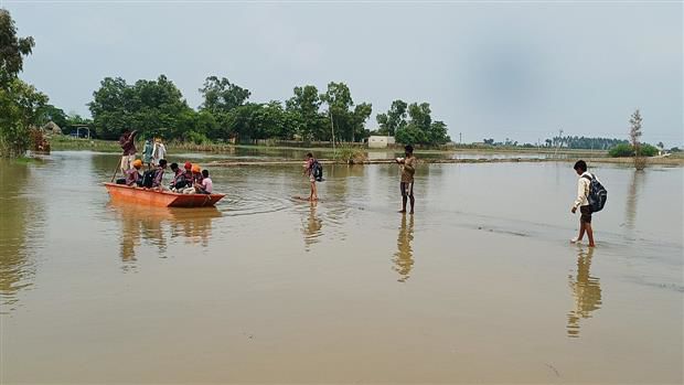 Jalandhar: Year on, flood memories still haunt Lohian farmers