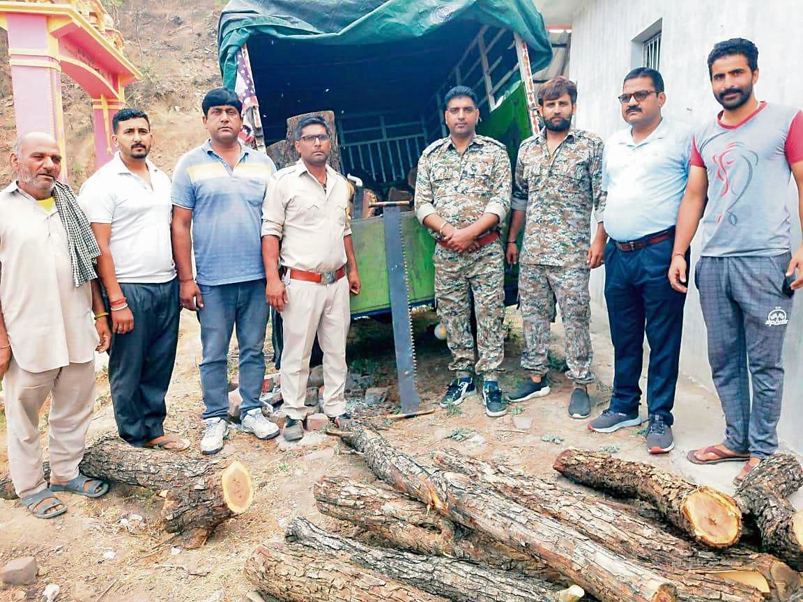 Una crackdown on forest mafia, 80 vehicles with wood, other products seized in 3 months