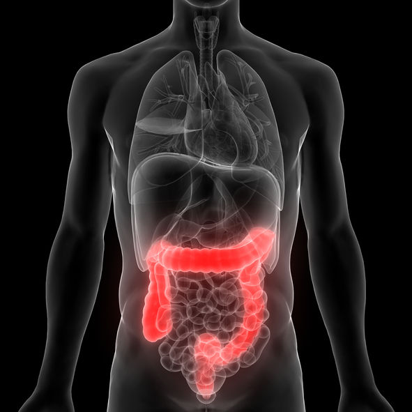 Blame gut bacteria for your compulsive eating, obesity