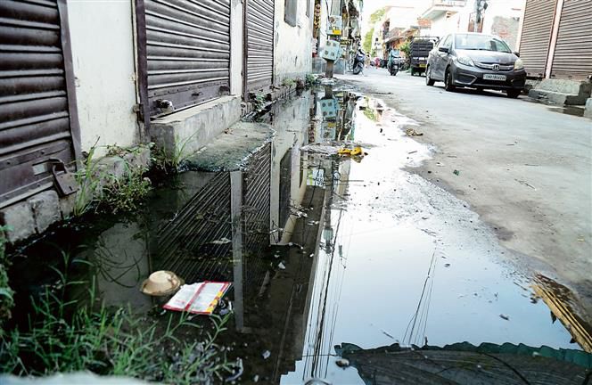 Jalandhar: Basti Danishmanda residents yearn for basic civic amenities