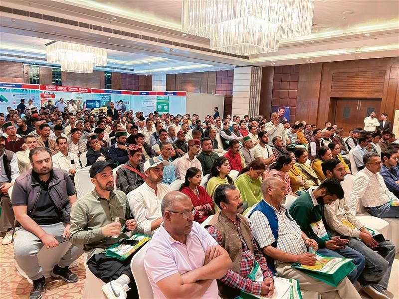 Disease to supply chains, problems of growers in focus at Kufri apple conclave