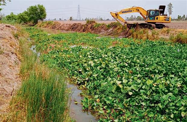 Ludhiana DC directs officials to speed up cleaning, desilting, strengthening water bodies
