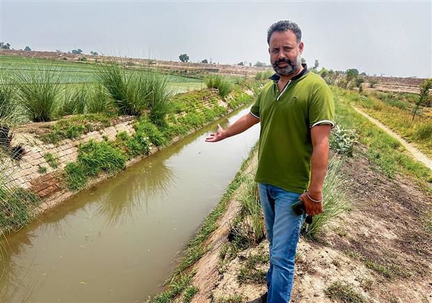 Punjab: Water scarcity increases dependence on tubewells