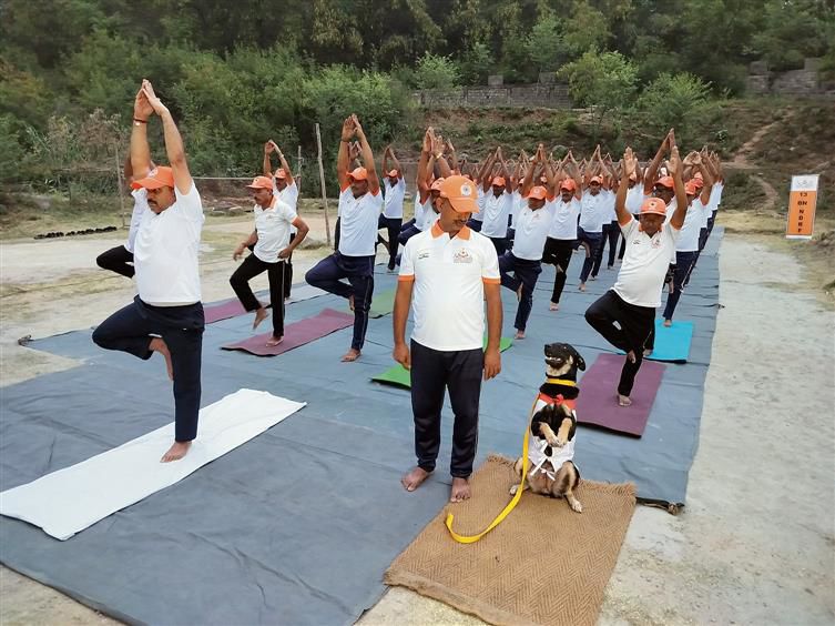 Fervour marks International Yoga Day celebrations in Jammu