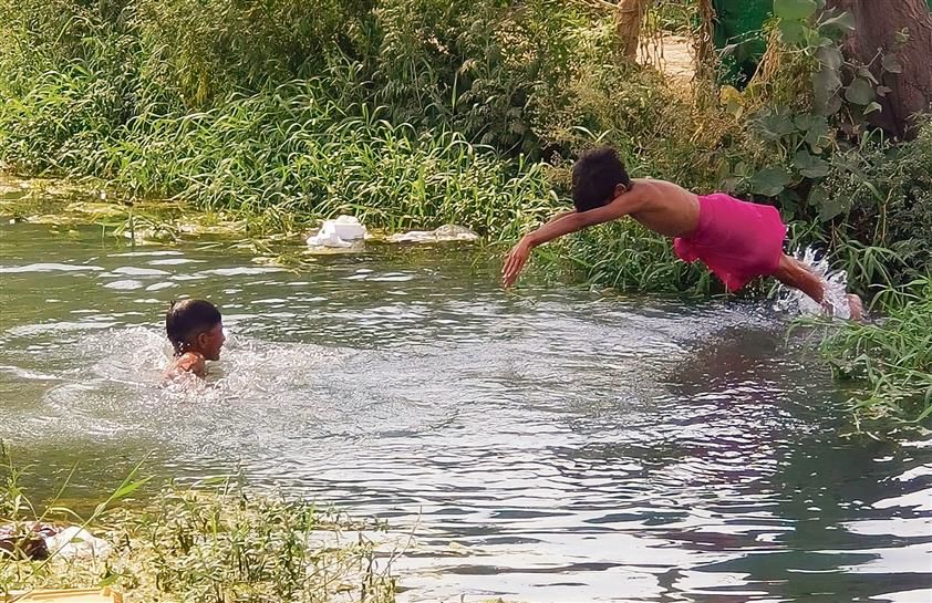 Despite ban, youngsters continue to bathe in canal in Patiala