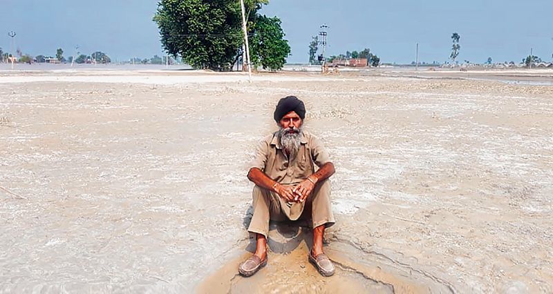 The Tribune’s deep dive into the power crisis in the state — Part II: Big vs small Punjab farmers & trauma of free power