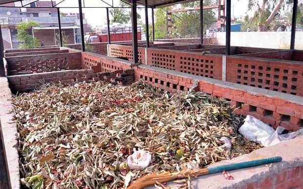 Amritsar MC’s waste mgmt plan hits roadblock as garbage collection remains inconsistent