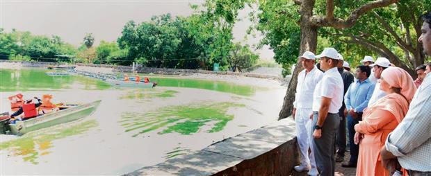 Flood-control steps not picking pace, Rohtak growers worried lot
