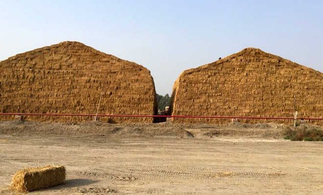 10 MW biomass power plant begins operations in Fatehgarh Sahib