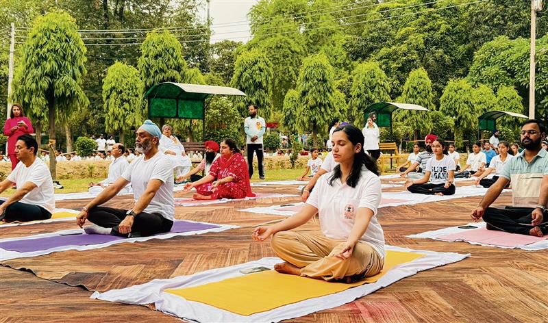 Make yoga part of daily life, Ludhiana DC exhorts district residents