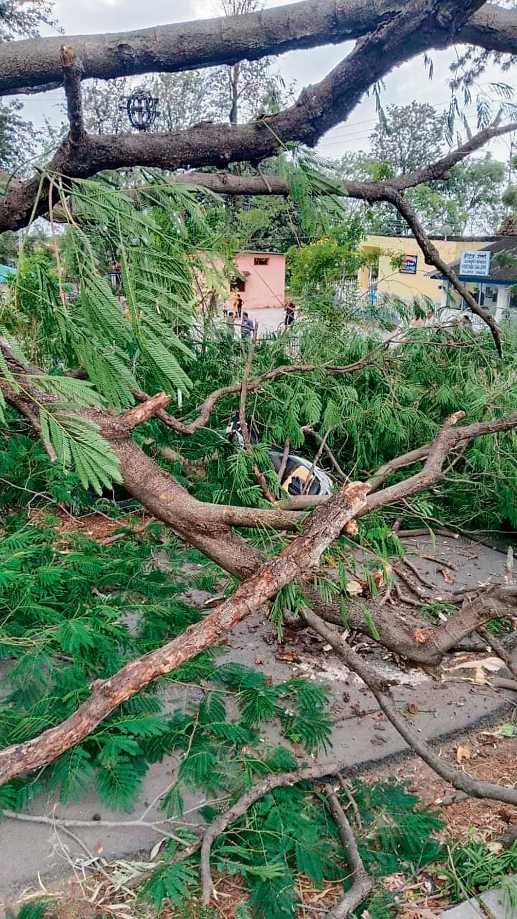 High-velocity winds, rain lash Palampur; 2 injured