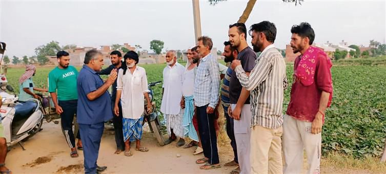 Malerkotla vegetable growers to join farmers’ protest at Shambhu