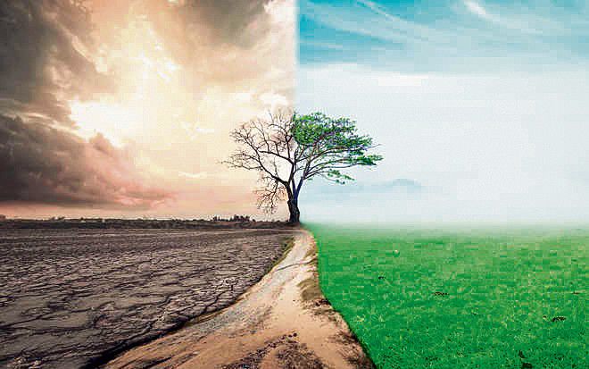 Govt schools roped in to spread awareness on climate change