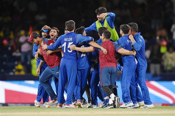 T20 World Cup 2024: Afghanistan players celebrate DJ Bravo style, dance to ‘Champion’ song after historic victory against Australia