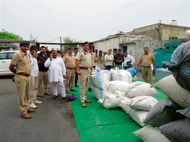 Panchkula, Ambala police destroy over Rs 15 crore drugs seized in 139 cases