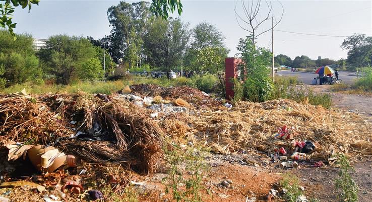 Mohali's Sector 62 park in bad shape, residents irked
