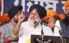 Jalandhar West bypoll: Shiromani Akali Dal announces support to BSP nominee, disowns its candidate