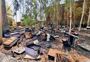 Fire destroys over 200 bee boxes in Jammu