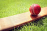 Cricketers as marasis