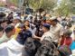 Carcass found near temple, protesters block Sirsa road