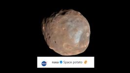 After ‘popcorn rocks’, NASA now spots ‘potato’ in space, calls it ‘space potato’