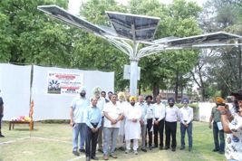 PSPCL installs 7 solar trees, to generate 52K units per year