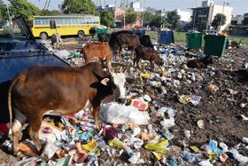 Minister’s intervention sought in resolving Ahmedgarh’s solid waste disposal woes