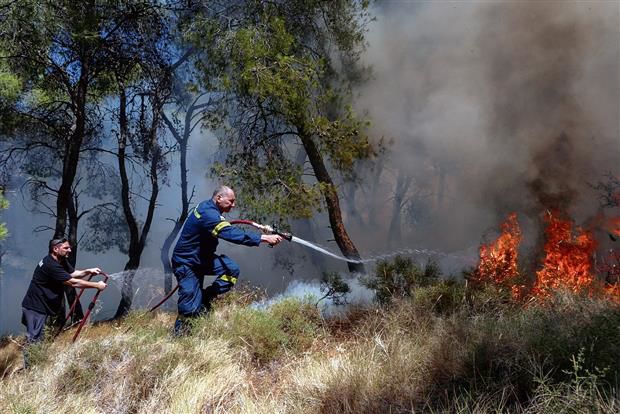 Firefighters battle forest blaze near Athens