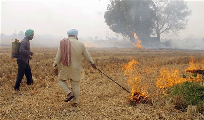 Blaming Punjab farmers for Delhi’s air pollution unfair: NGT member Justice Sudhir Agarwal